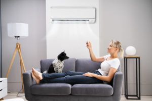 Woman and dog on couch next to a ductless unit