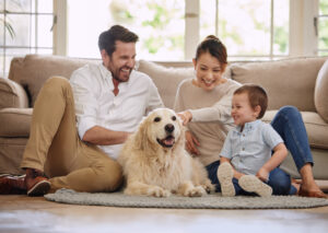 family sits in living room